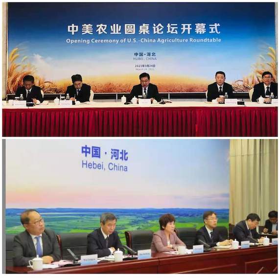 1616590238929815.jpg U3.jpg