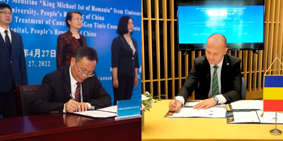 1651897503704594.jpg 2.jpg